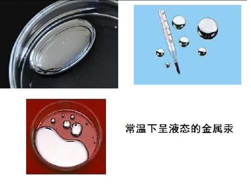 璀璨與永恒 金屬材料中的金銀制品探析